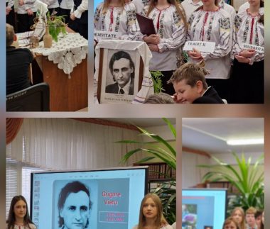 viber_image_2026-02-19_17-23-35-381