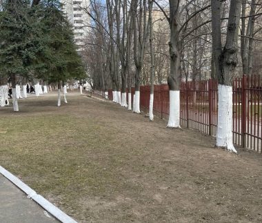 d61ea3d2-45c5-4dc7-ad6a-953ad6f46568